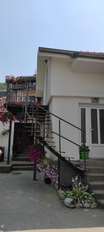 Stevan Sremac Soko Banja Exterior foto